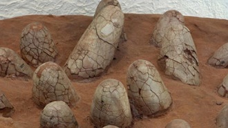 telur dinosaurus